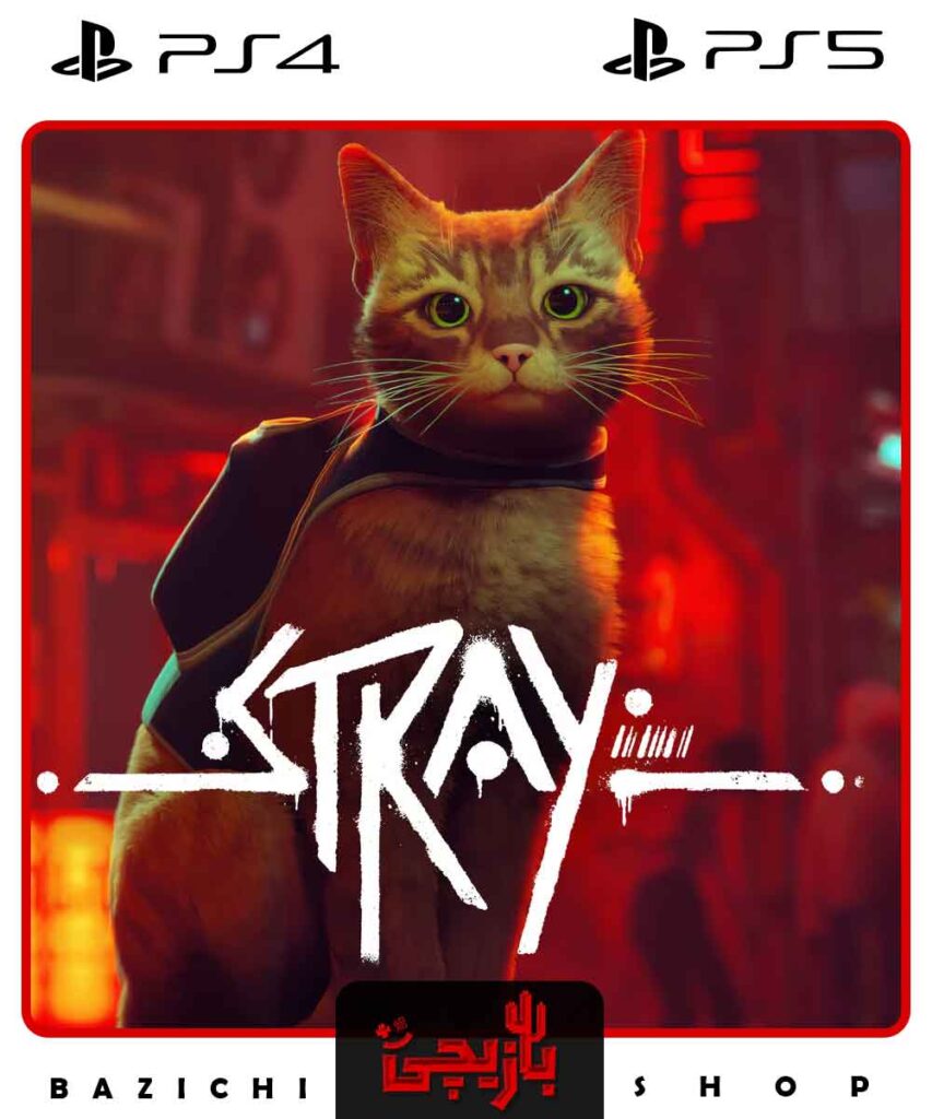 خرید اکانت قانونی stray