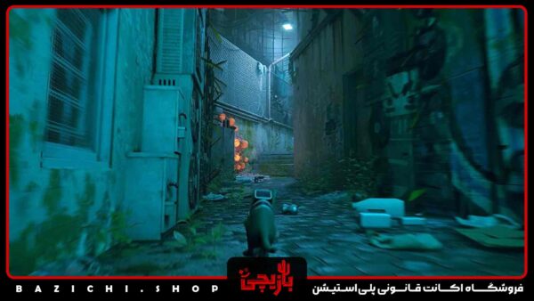 خرید اکانت قانونی stray