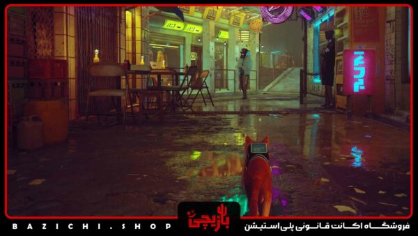 اکانت قانونی stray