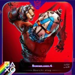 خرید اکانت قانونی Borderlands 4 برای ps5
